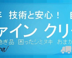 ファインクリーニング